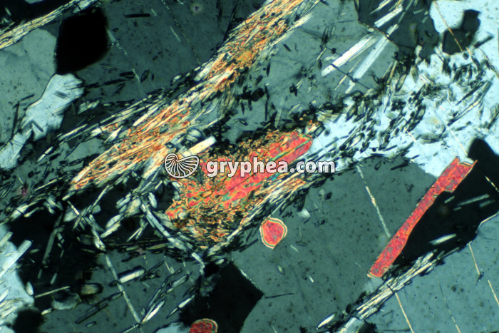 Sillimanite LPA x25 - gryphea.com